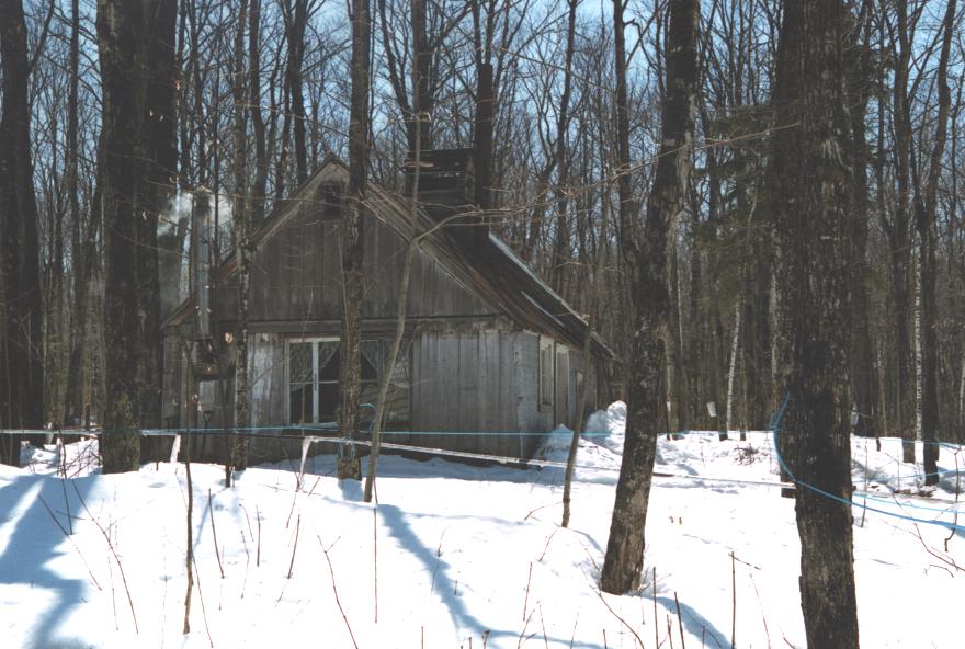 Cabane à sucre ancestrale